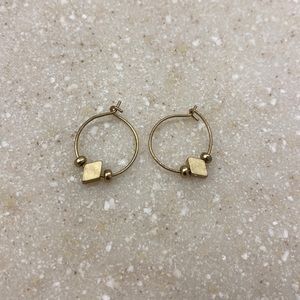 Gold Wild Fable earrings!